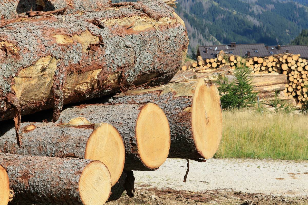 Comparison chart: natural vs. synthetic wood preservatives showing ingredients, VOC levels, and lifespan