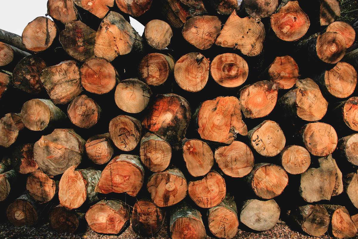 Infographic showing stages of untreated wood degradation: UV graying, water swelling, fungal growth over 24 months
