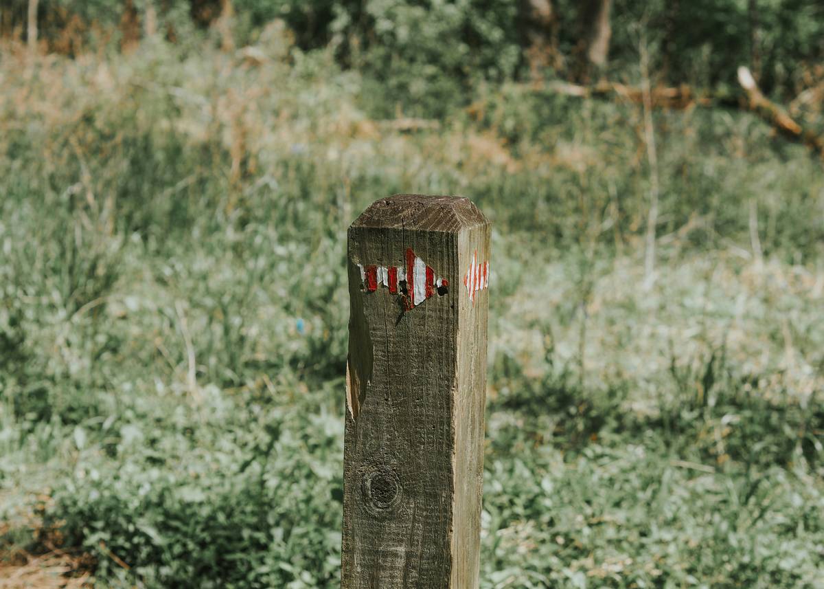 The Truth About In Ground Wood Preservative: How to Protect Your Garden Posts Without Poisoning the Planet