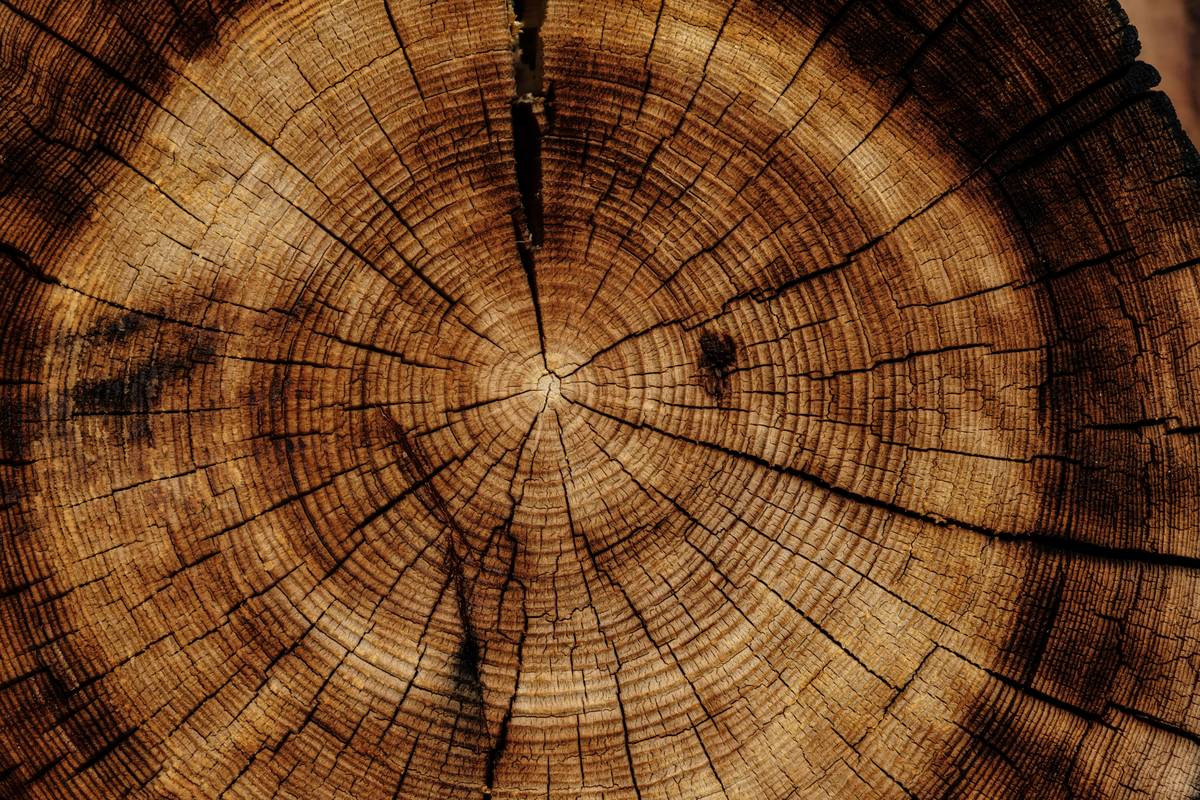 Why Your Deck Is Rotting (And How Natural Wood Preservative Oil Can Save It)