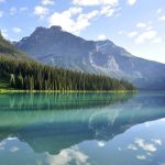 Home Improvement Natural Wood Preservative Ground: Stop Rot Before It Starts
