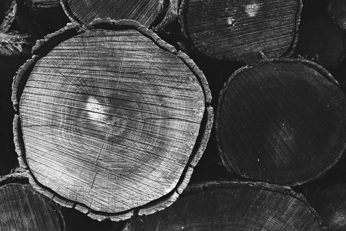 Is That "Wood Preservative Home Depot" Aisle Hiding a Toxic Trap? Here’s How to Choose Safe, Natural Alternatives