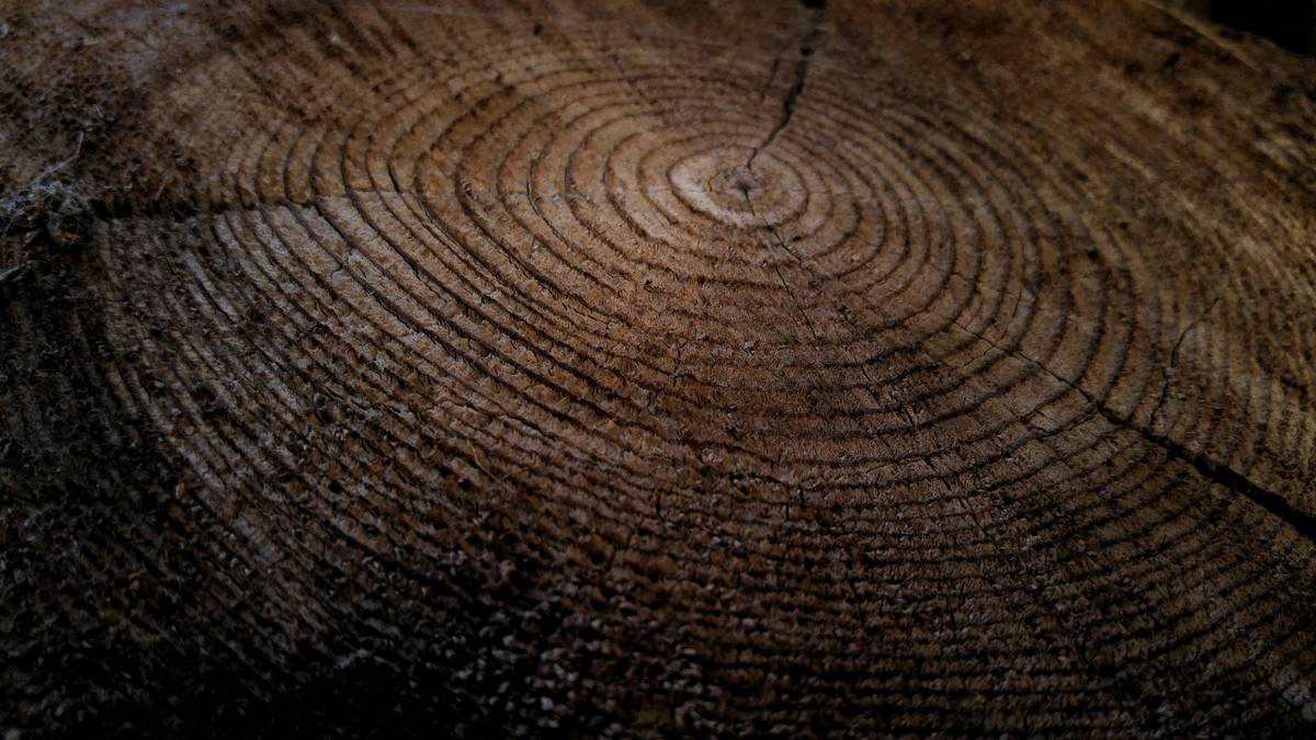Application of wildlife friendly wood preservative on backyard deck using natural bristle brush