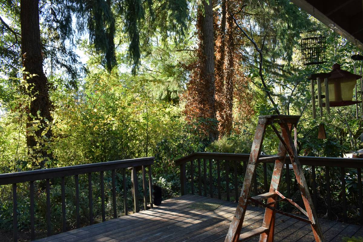 Plant Friendly Wood Preservative: The Sustainable Secret Your Garden Deserves