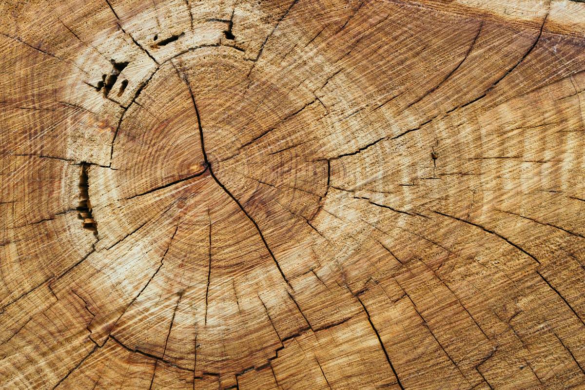 Solvable Wood Preservative Coverage: How Much You Really Need (And Why Most Get It Wrong)