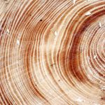 Eco Friendly Option Natural Wood Preservative: 7 Proven Ways to Avoid Costly Mistakes