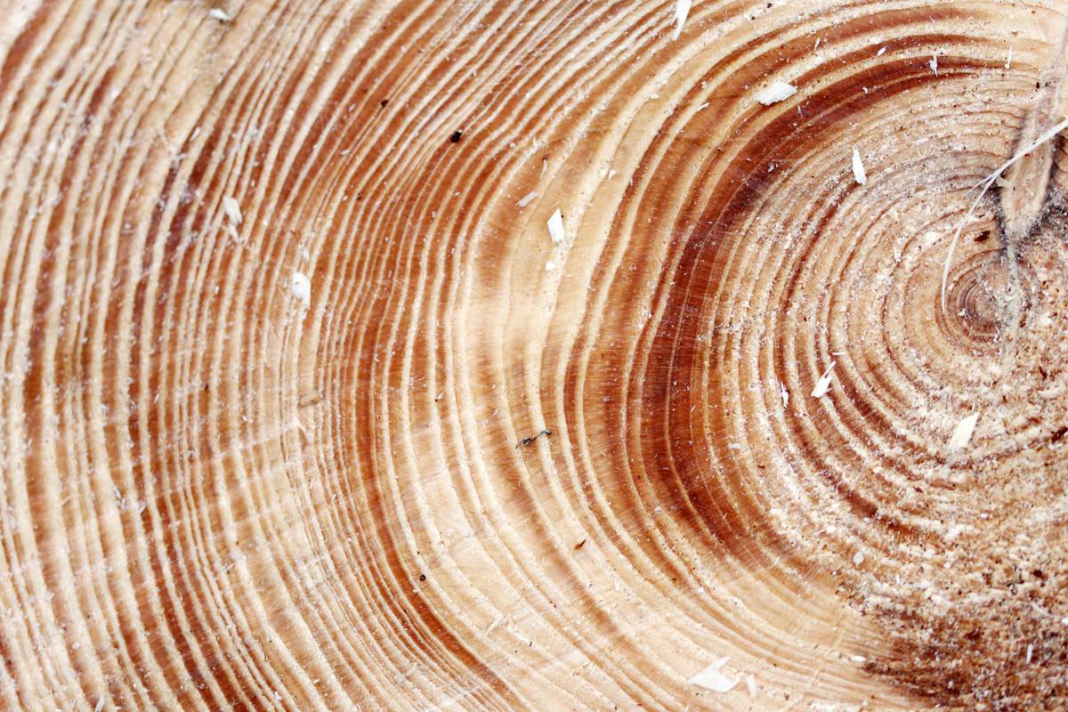 Eco Friendly Option Natural Wood Preservative: 7 Proven Ways to Avoid Costly Mistakes